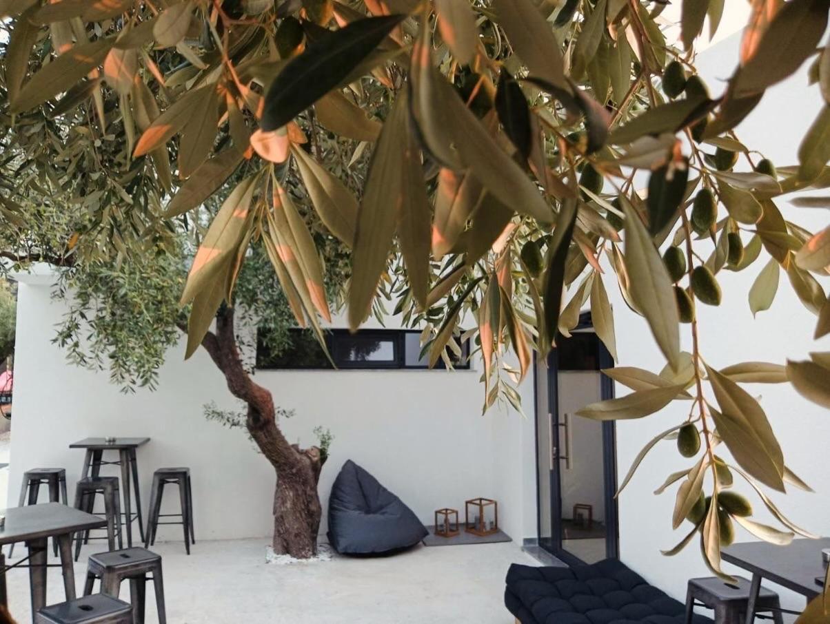 Hotel The Olive Hills Skala Rachoni  Esterno foto