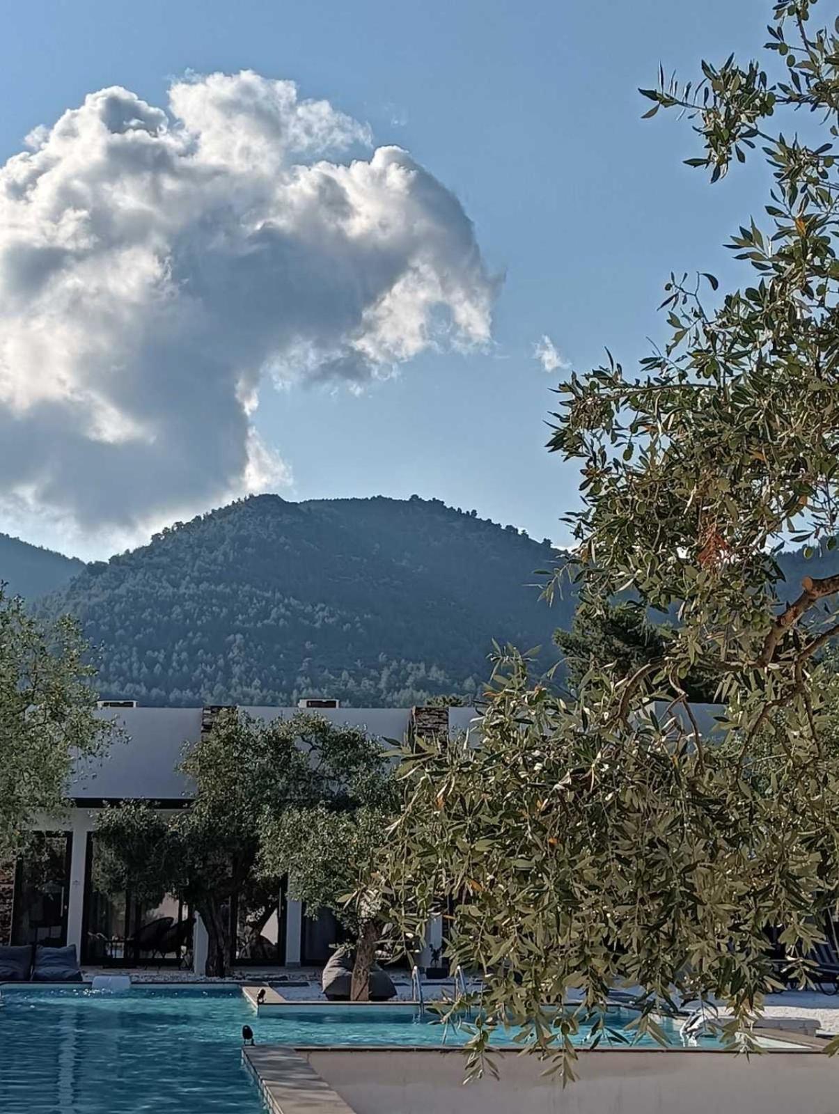 Hotel The Olive Hills Skala Rachoni  Esterno foto