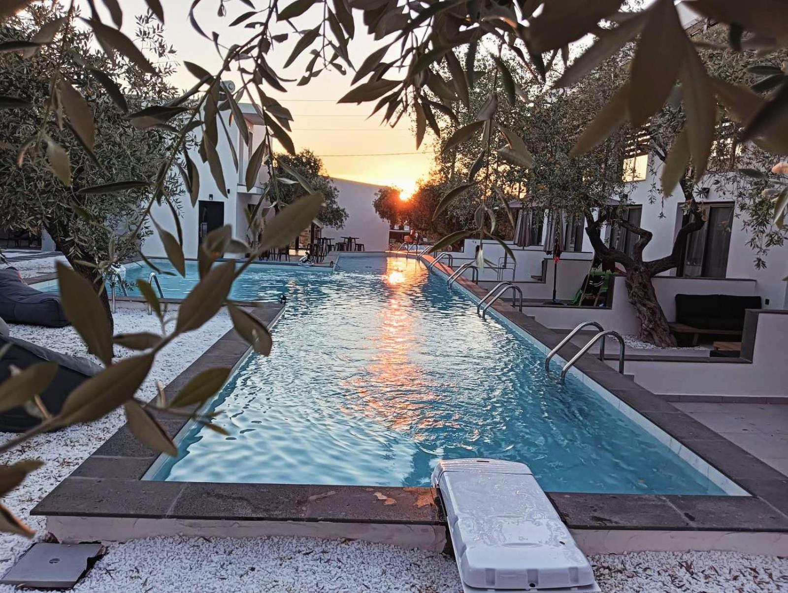 Hotel The Olive Hills Skala Rachoni  Esterno foto