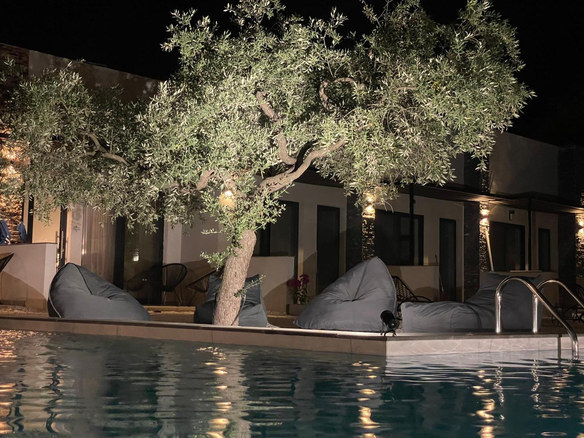 Hotel The Olive Hills Skala Rachoni  Esterno foto