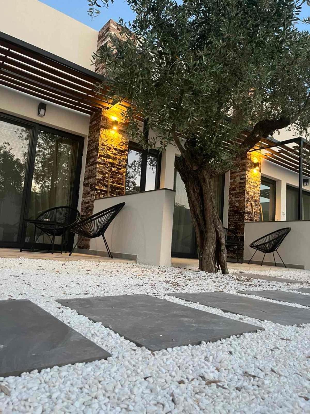 Hotel The Olive Hills Skala Rachoni  Esterno foto